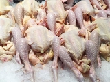 商务部对原产于巴西进口白羽肉鸡产品实施临时反倾销措施